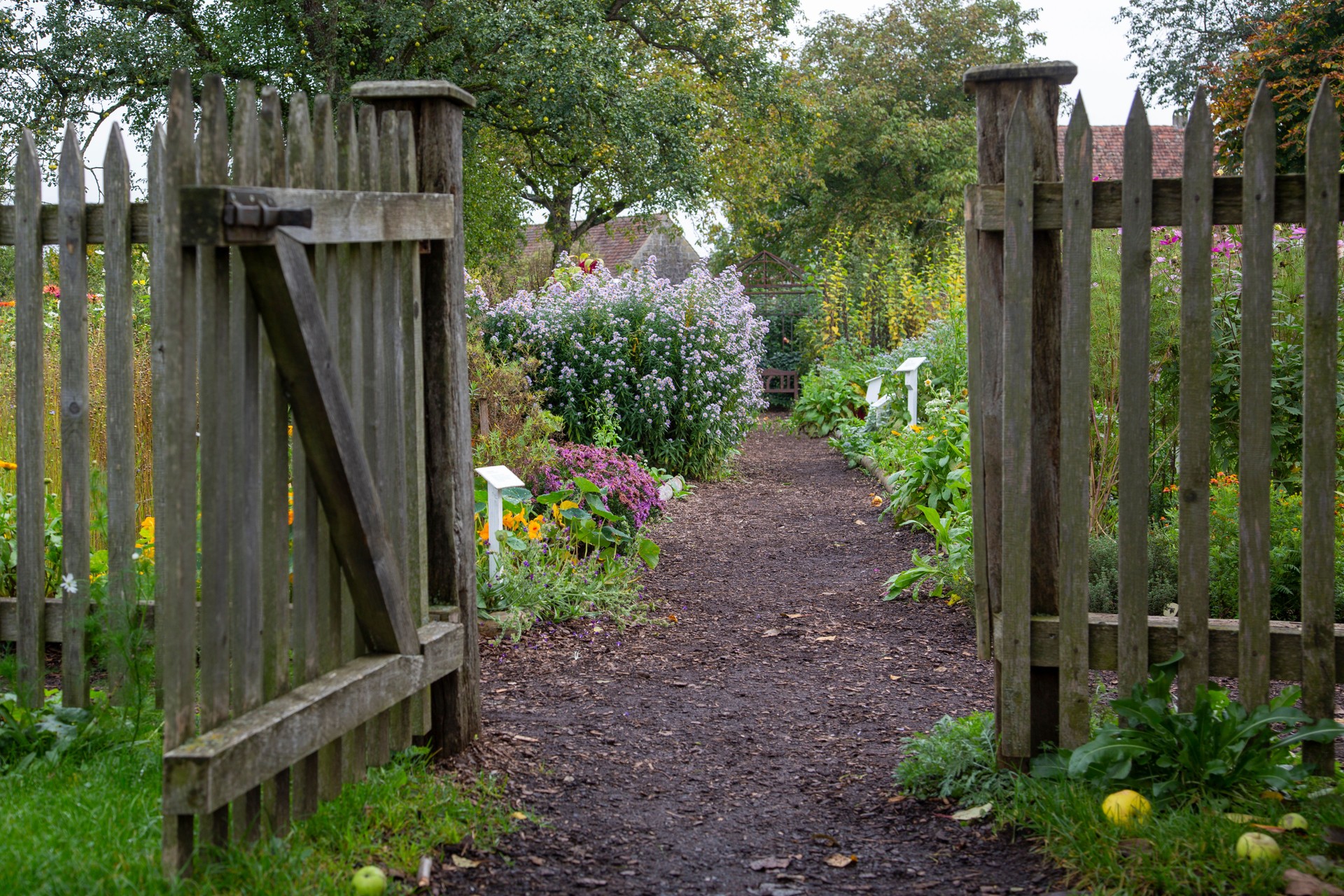 Wooden fence with an open gate and a footpath leading in a cottage garden